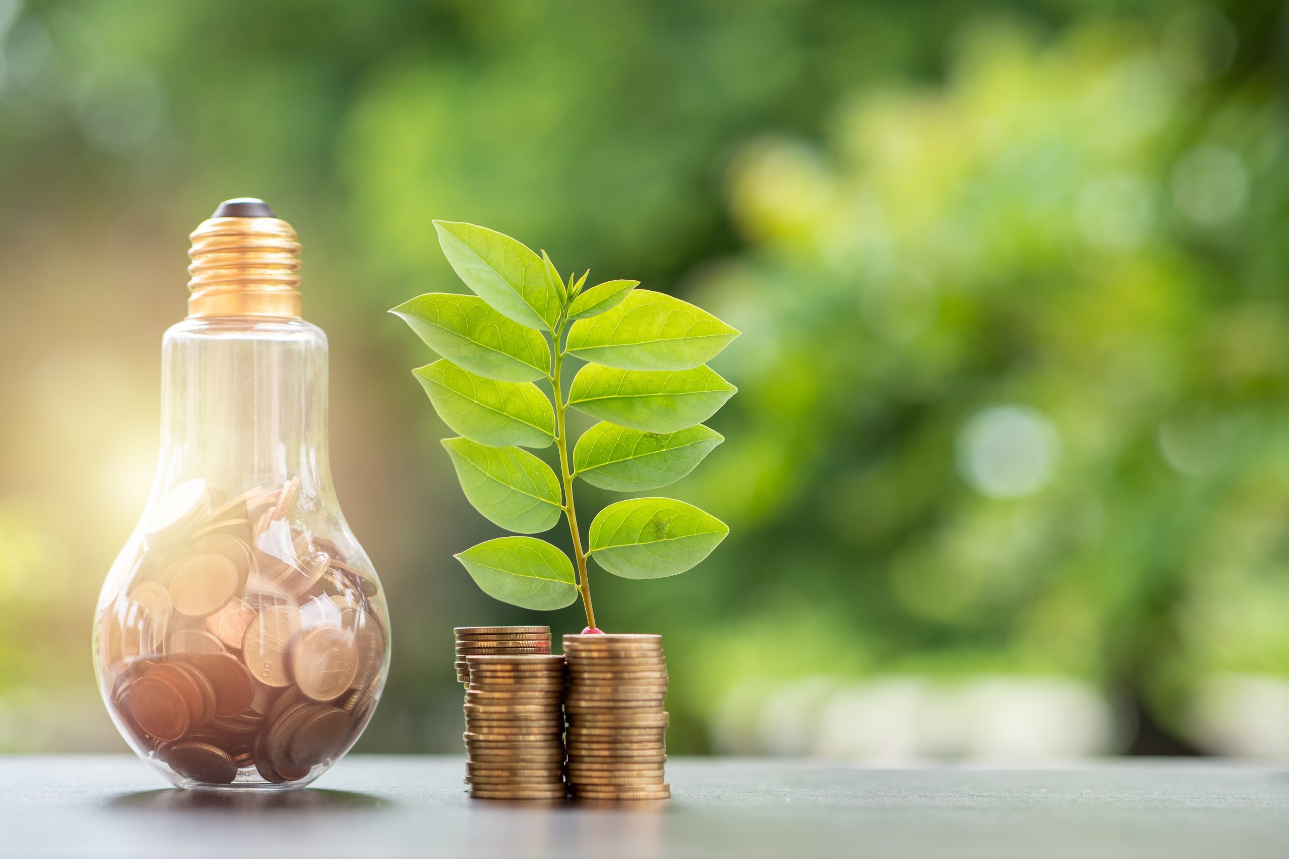Energy Savings​ with Lutron lighting