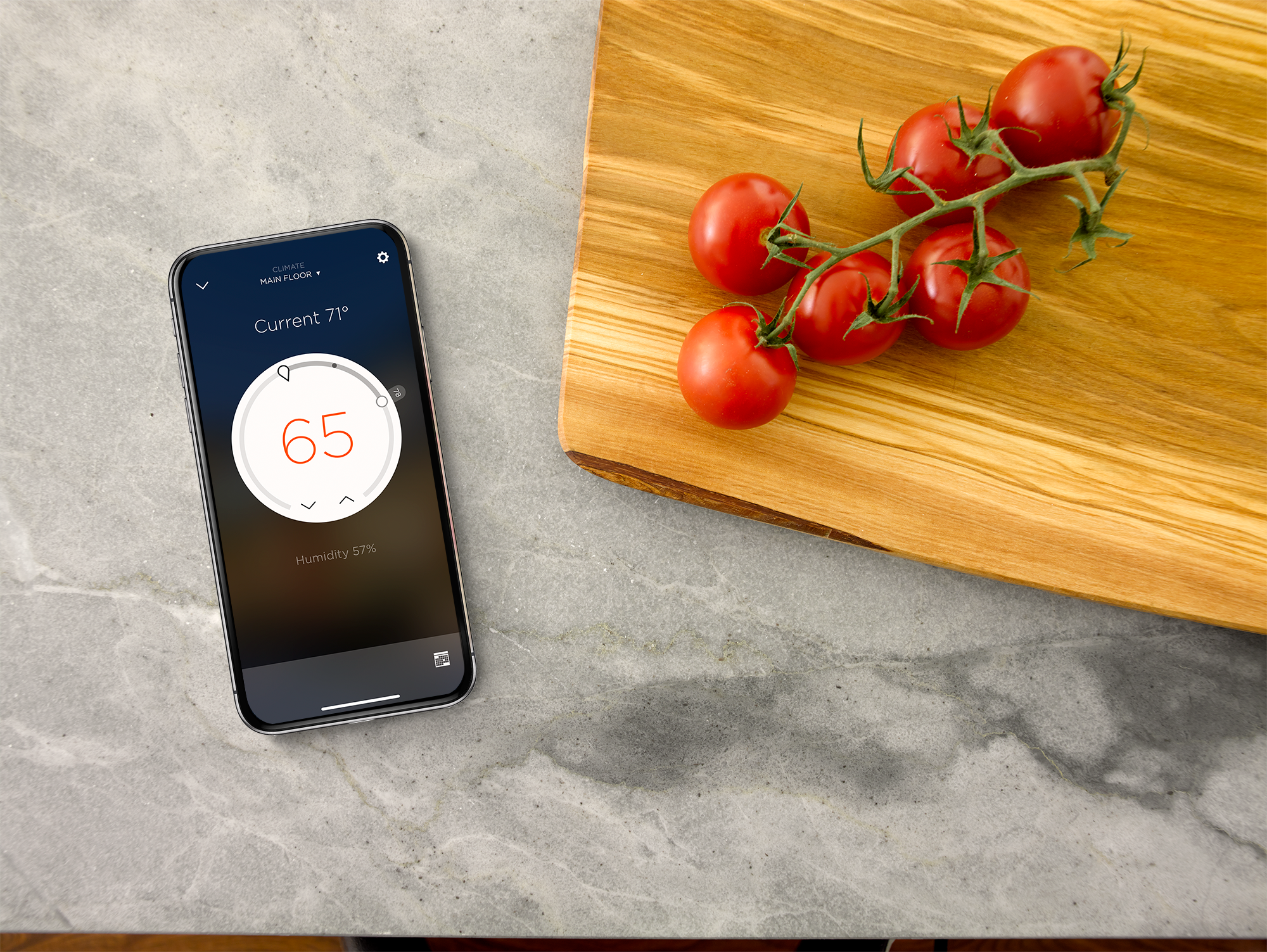 Energy Management​ with Savant